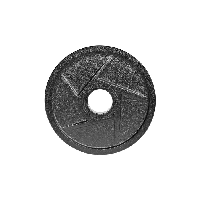 10 LB (Pair)