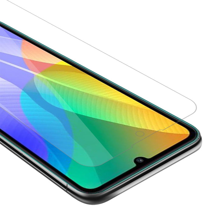 Transparent / Y6P