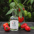 Deadman's Point Fresh Chilli Vodka