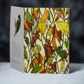 Deborah Wace Giant Kelp - Greeting Card
