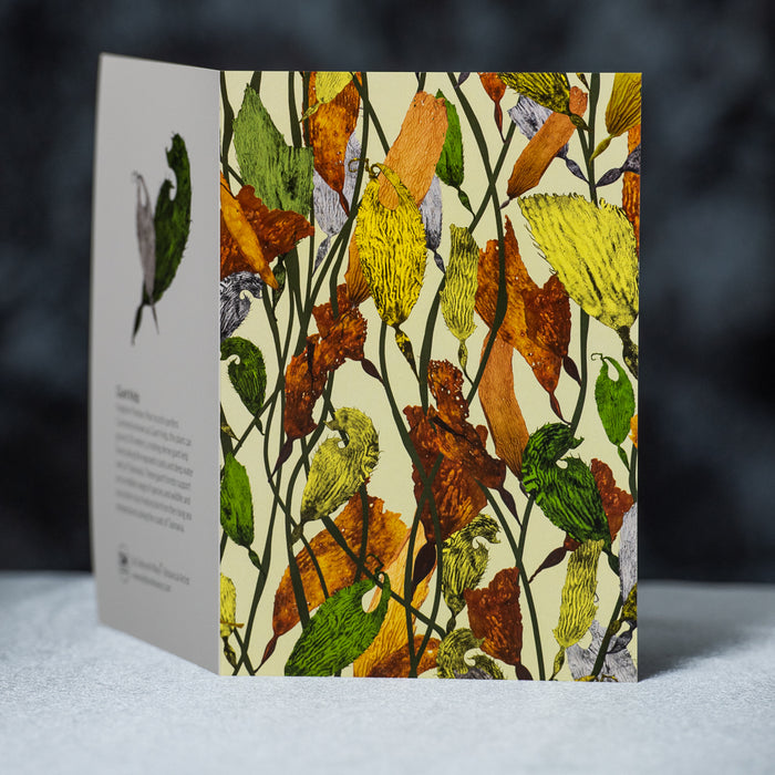 Deborah Wace Giant Kelp - Greeting Card