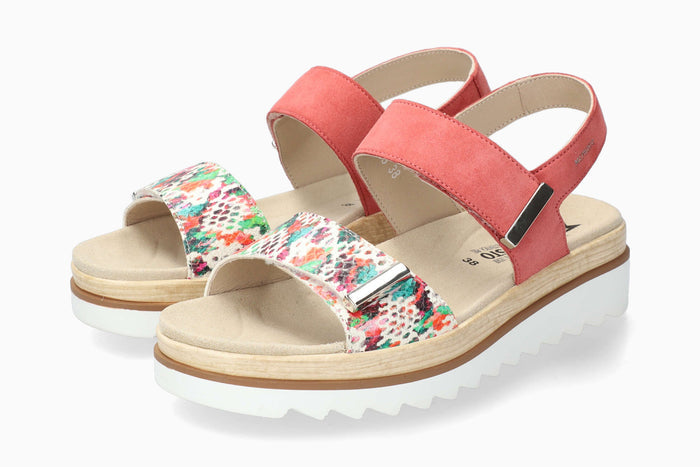 Dominica - Multicolored | M7IW