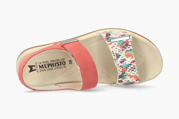 Dominica - Multicolored | M7IW