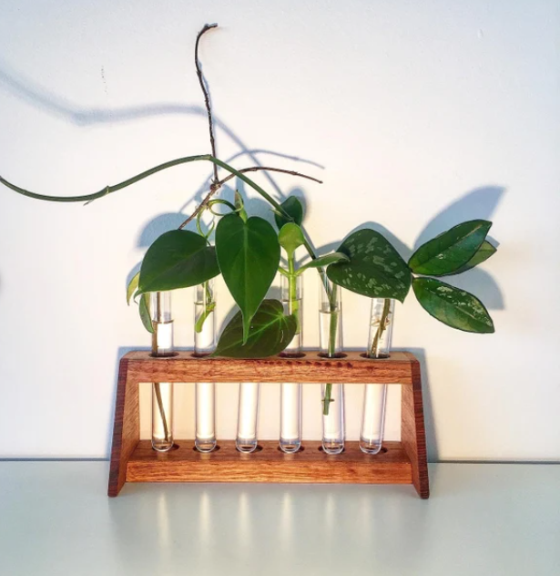 Duck Mannor - Plant Propagation Station