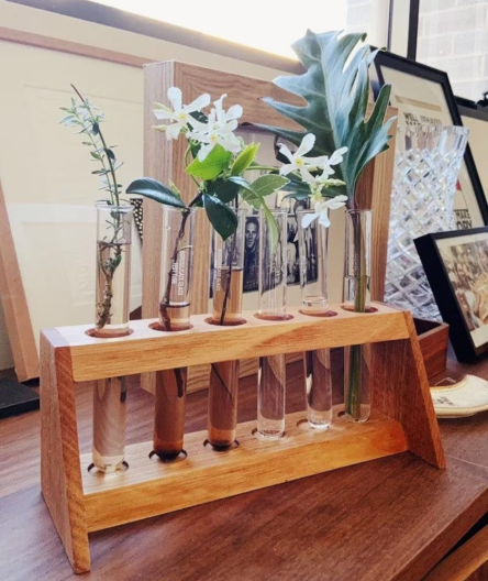 Duck Mannor - Plant Propagation Station