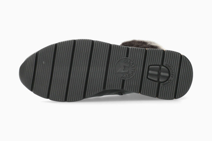Evodia - Carbon | M6ZG