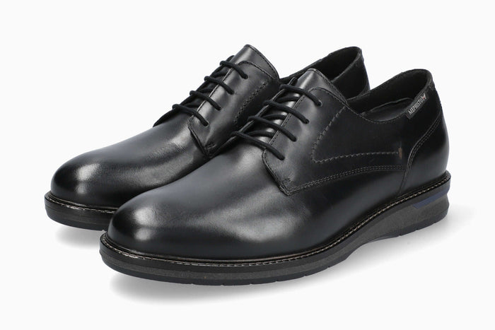 Falco - Black | M2UQ