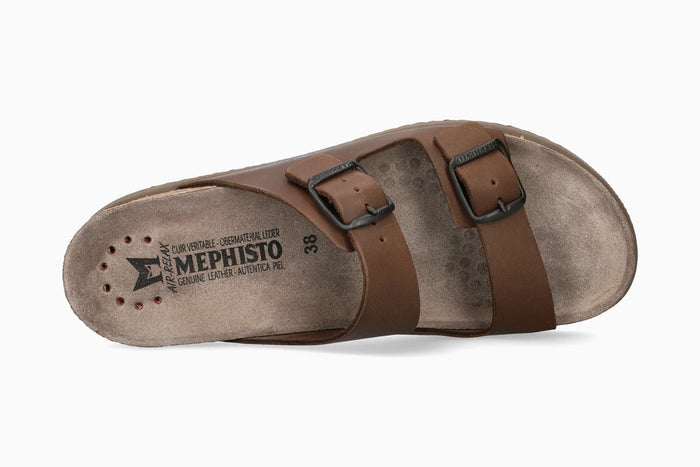 Harmony - Dark Brown | MBG2
