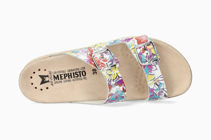 Harmony - Multicolored | M6IE