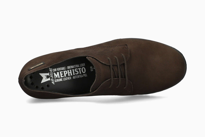 Iacina - Dark Oak | M7ML