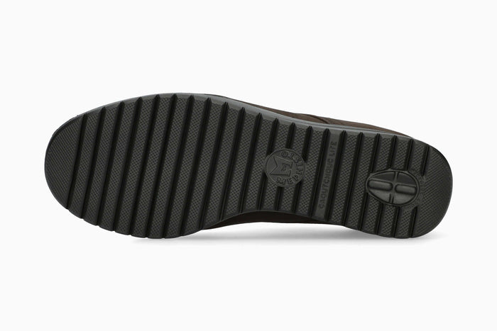 Iacina - Dark Oak | M7ML