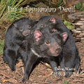 I'm a Tasmanian Devil