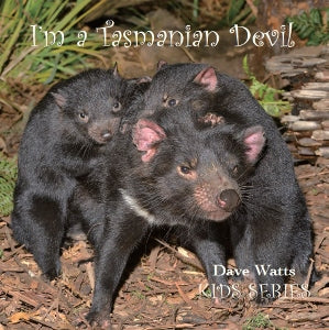 I'm a Tasmanian Devil
