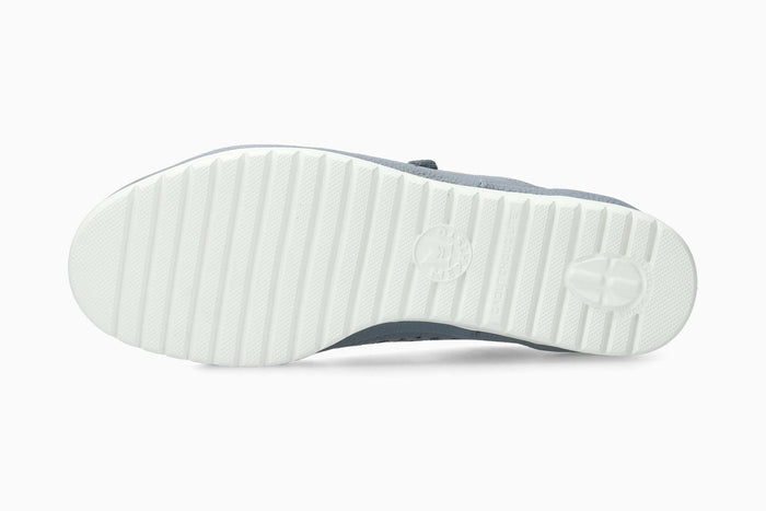 June Perf - Sea Blue | M7BT