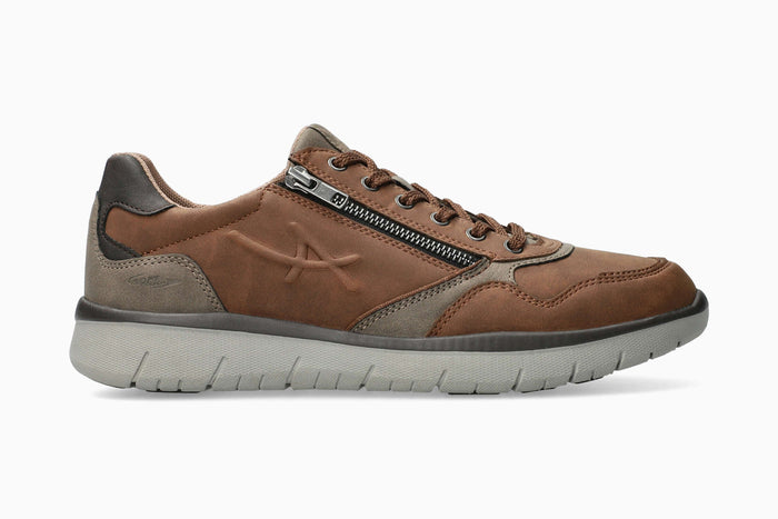 Majestro - Chestnut | A3CT