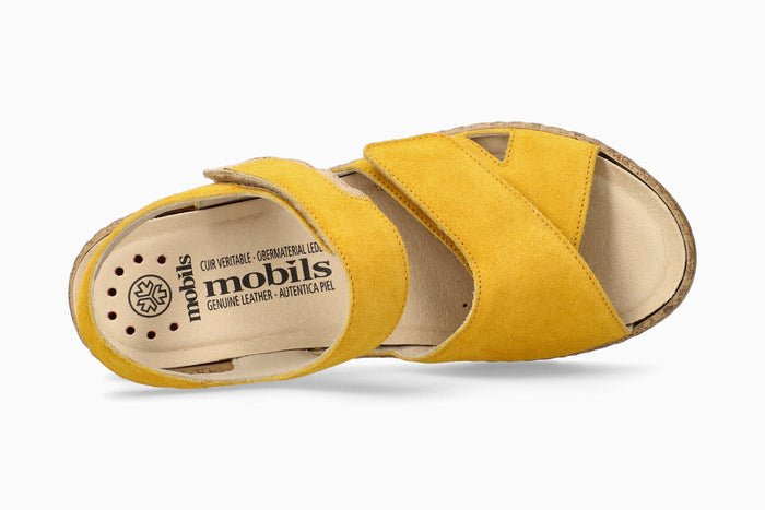Noor - Ochre | M7ID