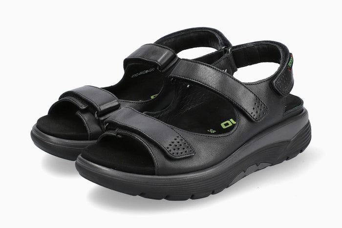 Norine - Black | MQ19