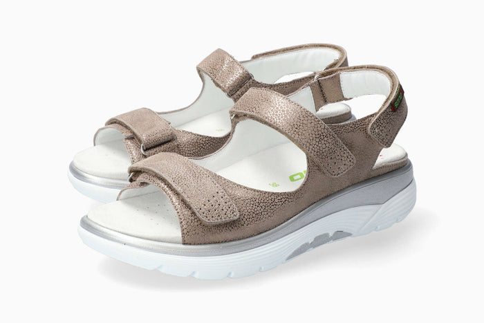 Norine - Dark Taupe | M2ON