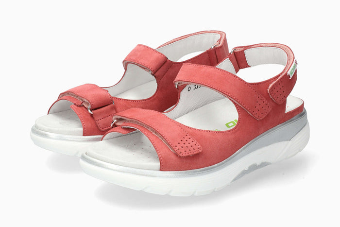 Norine - Old Pink | M7CN