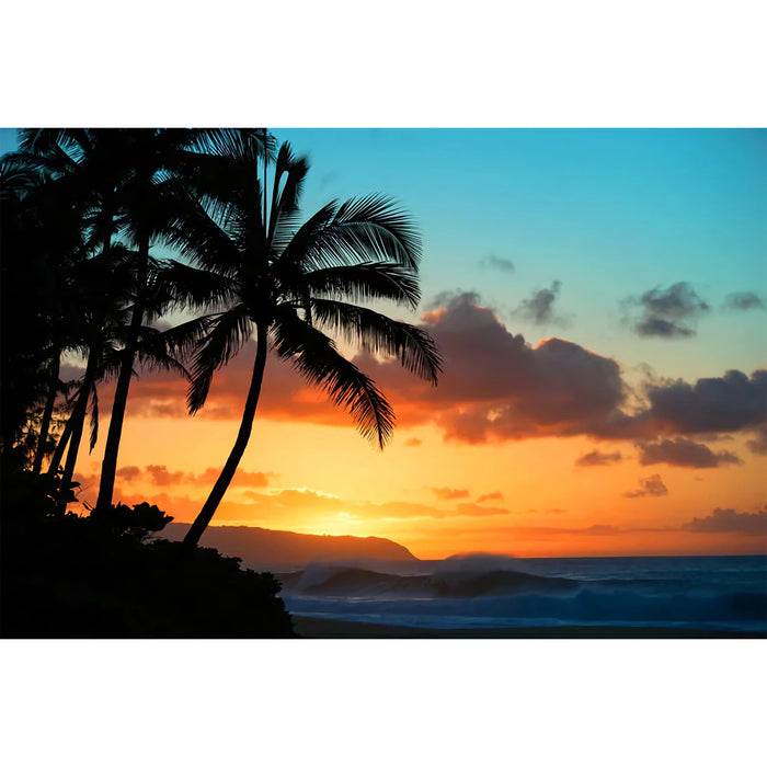 PARADISE FOUND