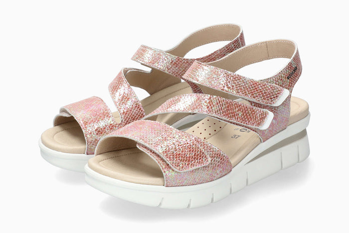 Ricia - Rosewood | M8CG