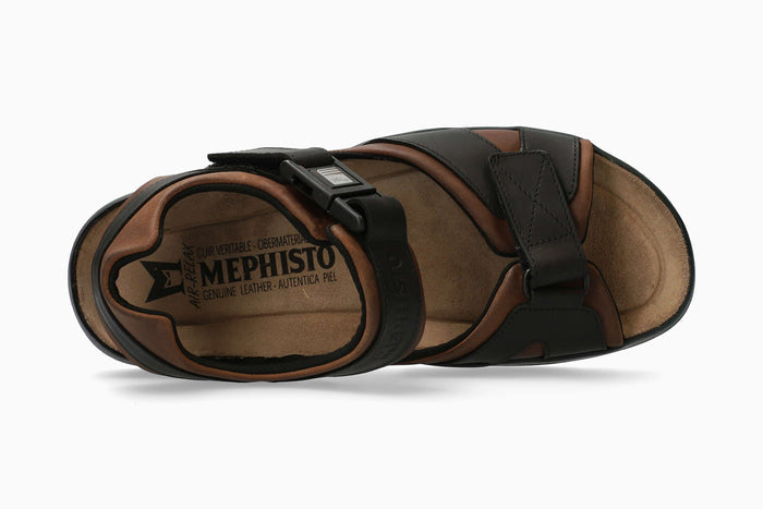 Shark Fit - Dark Brown | MR50