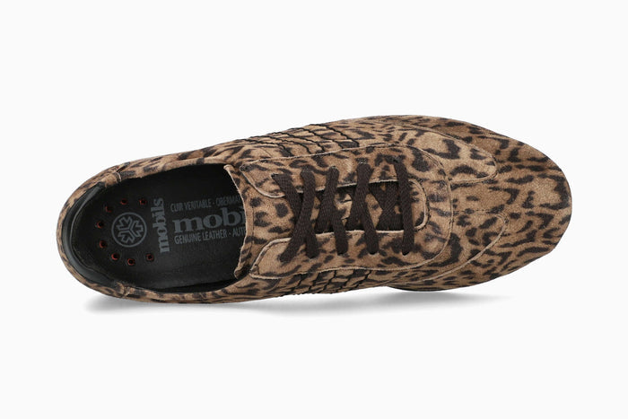 Silla - Brown | M8OD