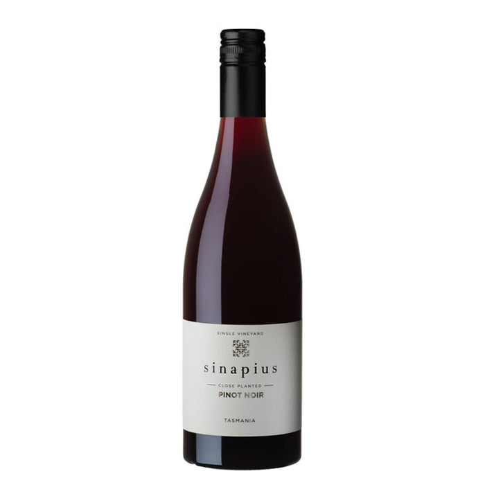 Sinapius Close Planted Pinot Noir 2024