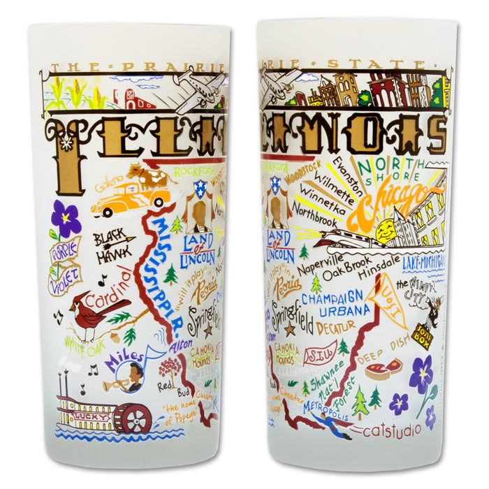 State of Illinois Frosted Glass Tumbler