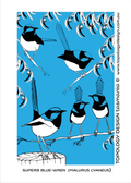 Superb Fairy - Wren Tea Towel