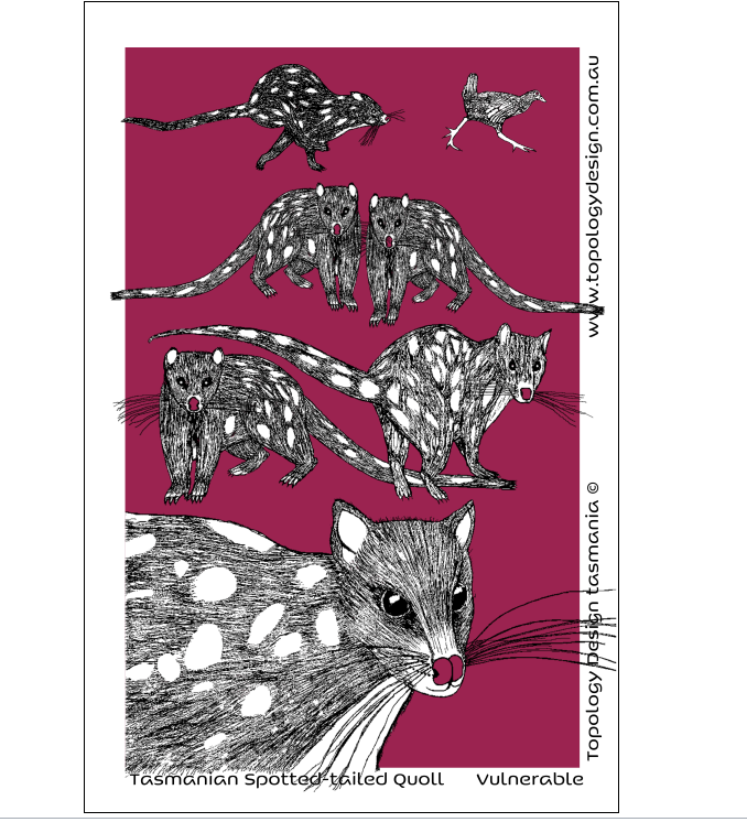 Tasmanian Spotted- tail Quoll Tea Towel