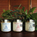 Wellington Apiary Selection - Tasmanian Gourmet Online